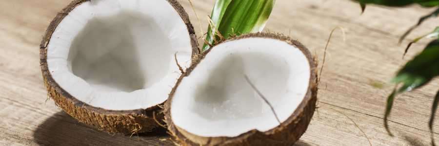 coconut