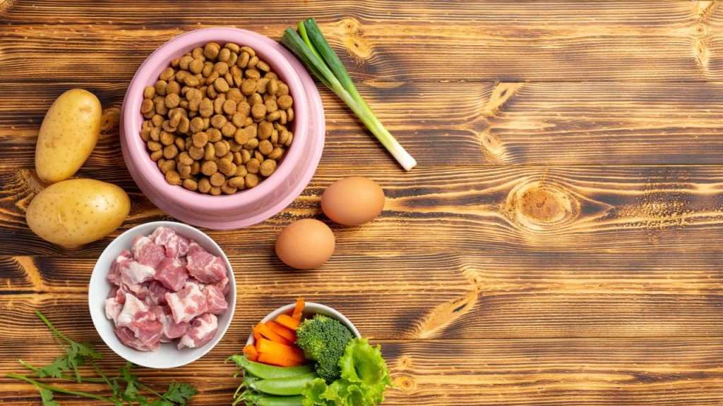 best cat food by ingredients