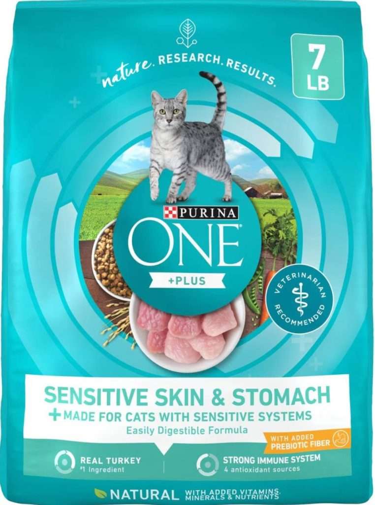 purina one sensitive skin and stomach dry cat food