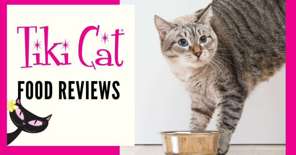 tiki cat food reviews