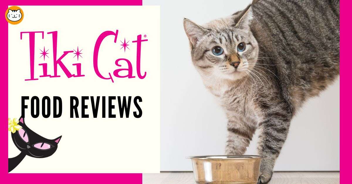 Honest Tiki Cat Food Reviews In 2024