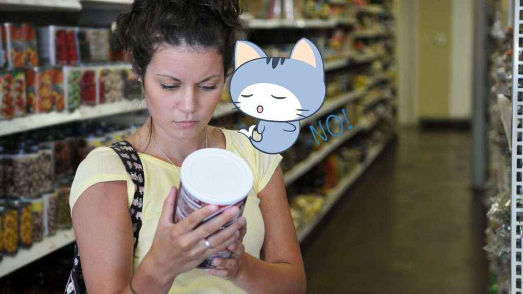 ingredients to avoid in cat food