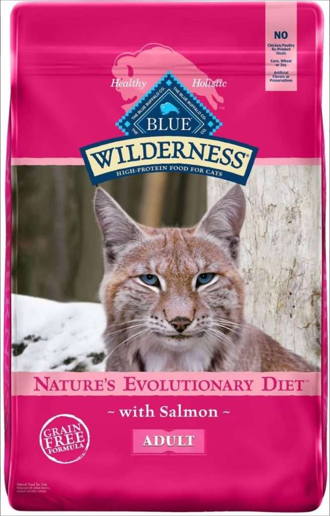 blue buffalo wilderness salmon dry cat food