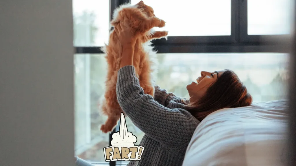 best cat food for gassy cats