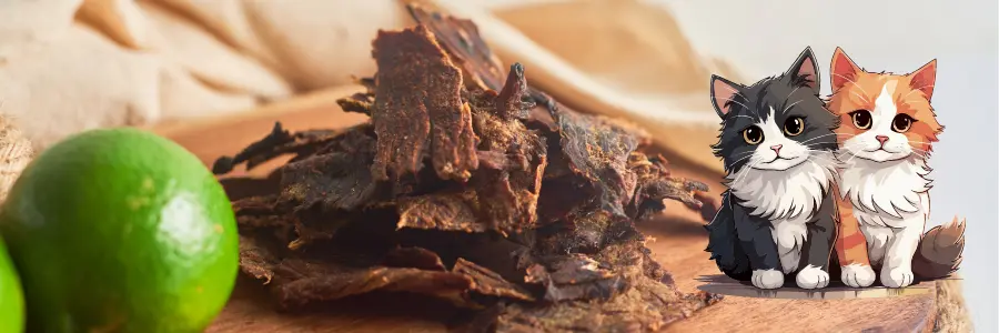 can cats eat beef jerky